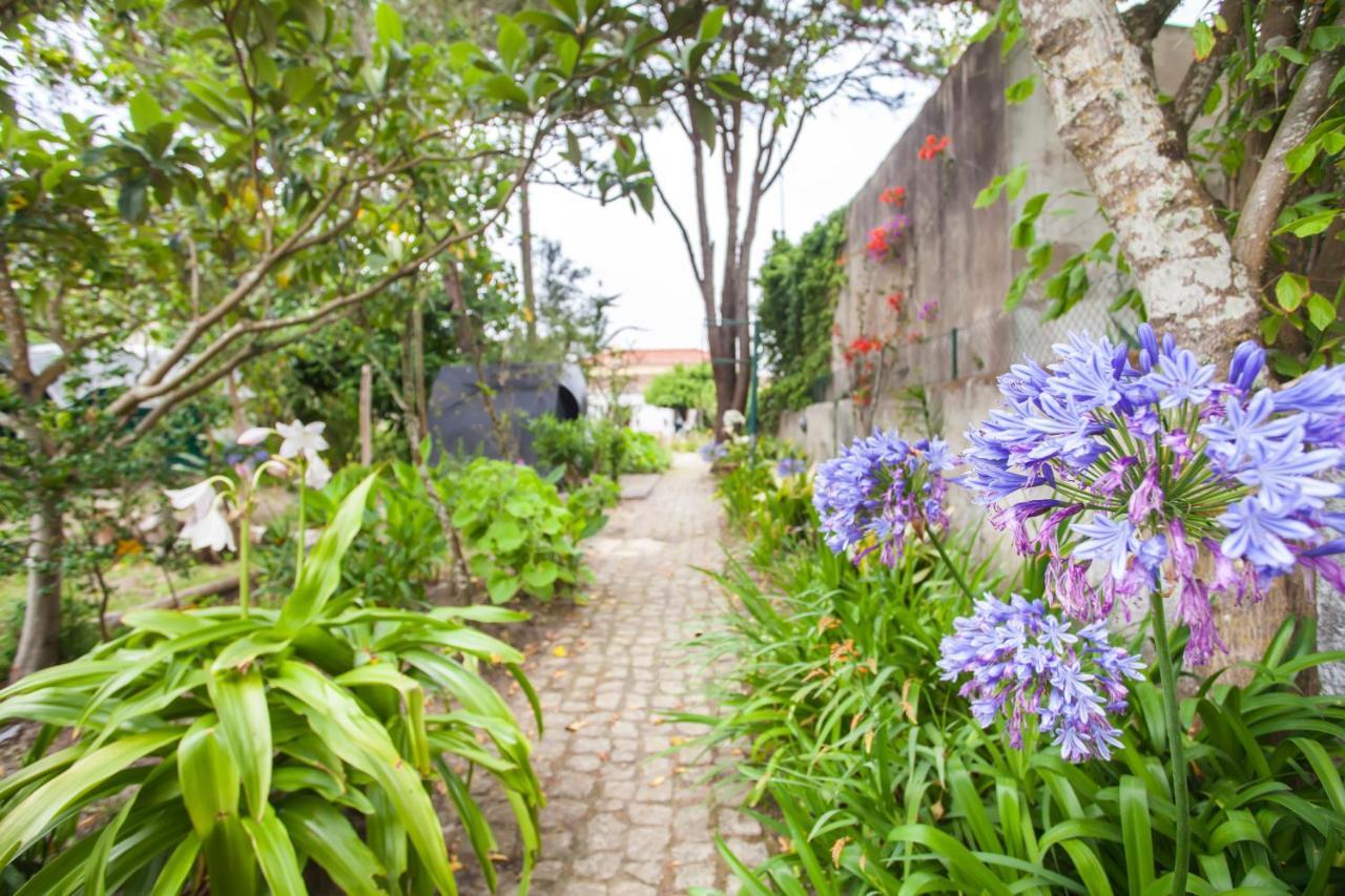 Beautiful Country House&Romantic Garden Sintra Eksteriør bilde