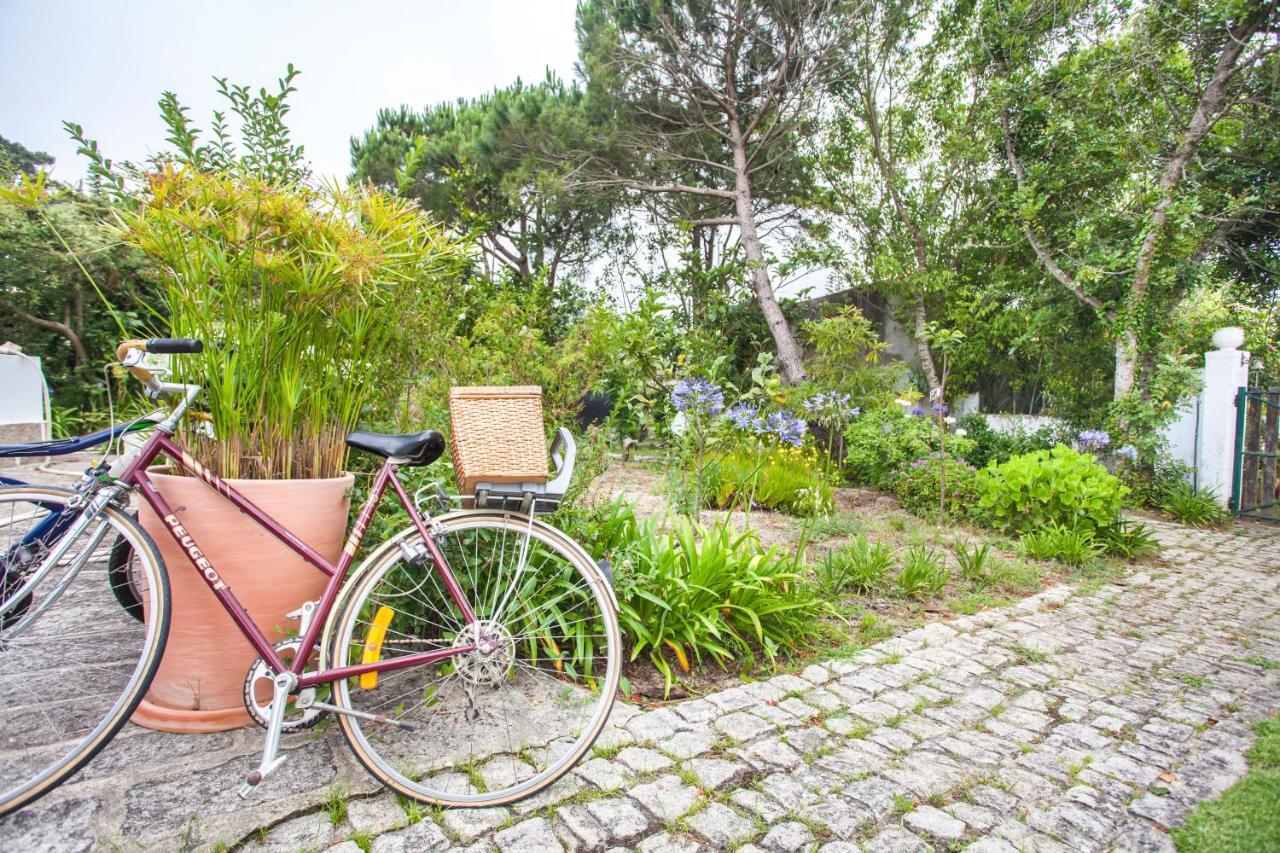 Beautiful Country House&Romantic Garden Sintra Eksteriør bilde